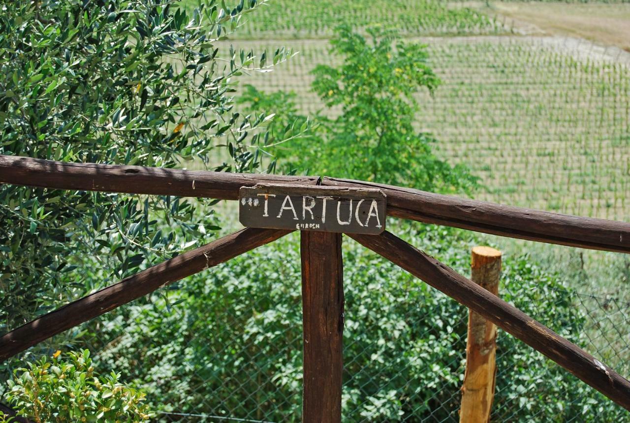Podere Remignoli Appartement San Gimignano Buitenkant foto